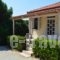 Beach Bungalows_holidays_in_Hotel_Ionian Islands_Zakinthos_Alykes