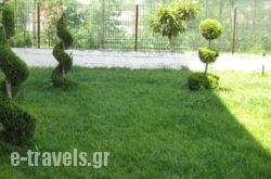 Gatos Studios & Apartments_s __3