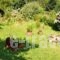 Villa Ton Rodon_lowest prices_in_Villa_Thessaly_Magnesia_Mouresi