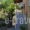 Studios Kyriaki_holidays_in_Hotel_Aegean Islands_Thasos_Thasos Chora