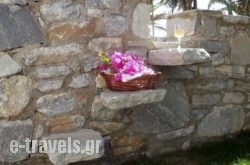 Chryssalis Garden Apartments_s __1