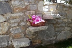 Chryssalis Garden Apartments_accommodation_in_Apartment_Cyclades Islands_Naxos_Naxos chora