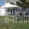 Chryssalis Garden Apartments_best deals_Apartment_Cyclades Islands_Naxos_Naxos chora