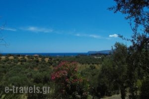 Ktirakia Studios_lowest prices_in_Hotel_Peloponesse_Lakonia_Gythio