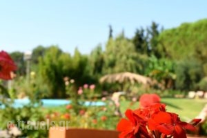 Simatos Apartments & Studios_lowest prices_in_Apartment_Ionian Islands_Kefalonia_Kefalonia'st Areas