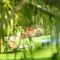 Simatos Apartments & Studios_best prices_in_Apartment_Ionian Islands_Kefalonia_Kefalonia'st Areas