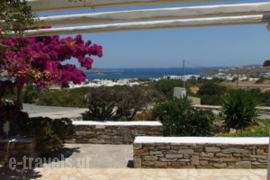 Aurora Villas_accommodation_in_Villa_Cyclades Islands_Paros_Paros Chora