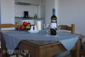 Amalthia Apartments_best prices_in_Apartment_Crete_Heraklion_Chersonisos