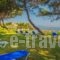 Sunrise Rent Rooms_best prices_in_Room_Ionian Islands_Zakinthos_Zakinthos Rest Areas