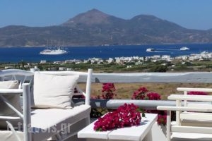 Iliana Rooms & Apartments_accommodation_in_Room_Cyclades Islands_Milos_Milos Chora