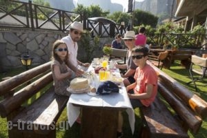 Hotel Tsikeli_best deals_Hotel_Thessaly_Trikala_KaLamiaki