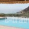 Arkasa Palace Boutique Villas_best prices_in_Villa_Dodekanessos Islands_Karpathos_Karpathos Chora