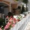 Apartments Palladium_holidays_in_Apartment_Macedonia_Pieria_Olympiaki Akti