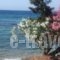 Aliki Studios_best deals_Hotel_Ionian Islands_Corfu_Corfu Rest Areas