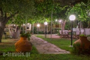 Argiro Studios_accommodation_in_Hotel_Aegean Islands_Thasos_Thasos Chora