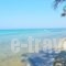 Thasos Blue Apartments_best deals_Apartment_Aegean Islands_Thasos_Thasos Chora