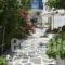 Alpha Studios_holidays_in_Hotel_Cyclades Islands_Paros_Piso Livadi