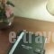 Likoria Hotel_best deals_Hotel_Central Greece_Viotia_Arachova