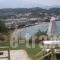 Dina Apartments_holidays_in_Apartment_Crete_Chania_Almyrida