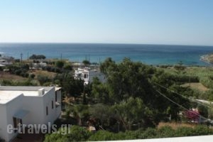 Irida Apartments_best deals_Apartment_Cyclades Islands_Syros_Syros Rest Areas