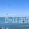 Christaras Apartments_holidays_in_Apartment_Macedonia_Halkidiki_Vourvourou