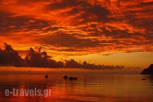 Mealos Apartments_best prices_in_Apartment_Sporades Islands_Skyros_Skyros Rest Areas