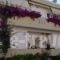 Andreas Studios_accommodation_in_Hotel_Dodekanessos Islands_Kos_Kos Rest Areas