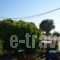 Andreas Studios_best deals_Hotel_Dodekanessos Islands_Kos_Kos Rest Areas