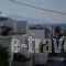 Andreas Studios_holidays_in_Hotel_Dodekanessos Islands_Kos_Kos Rest Areas