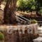 Emely Apartments_holidays_in_Apartment_Ionian Islands_Corfu_Corfu Rest Areas
