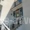 Eri Studios_holidays_in_Hotel_Piraeus Islands - Trizonia_Aigina_Aigina Chora