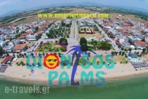 Dionisos Palms Apartments_best prices_in_Apartment_Macedonia_Halkidiki_Paralia Dionysou