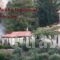 Villa Daskalogianni_lowest prices_in_Villa_Crete_Heraklion_Matala