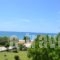 Raptis Apartments_travel_packages_in_Epirus_Preveza_Kamarina