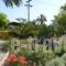 Semas Apartments_travel_packages_in_Dodekanessos Islands_Rhodes_Ialysos
