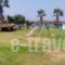 Green Eco House_accommodation_in_Hotel_Dodekanessos Islands_Rhodes_Rhodes Rest Areas