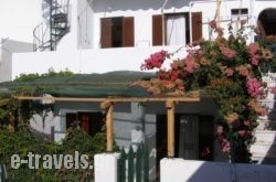 Renetta Hotel_s __1