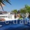 Harisis Apartments_lowest prices_in_Apartment_Macedonia_Pieria_Olympiaki Akti