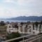 Iason Apartments_holidays_in_Apartment_Central Greece_Evia_Edipsos