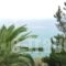 Apollon Apartments_best prices_in_Apartment_Thessaly_Magnesia_Pilio Area