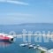 Hotel Selenunda_accommodation_in_Hotel_Sporades Islands_Skiathos_Skiathos Chora