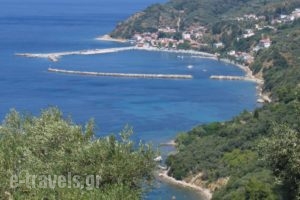 Hotel Selenunda_holidays_in_Hotel_Sporades Islands_Skiathos_Skiathos Chora