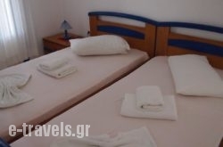 Villa Dolphin_s __1