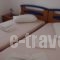 Villa Dolphin_accommodation_in_Villa_Cyclades Islands_Syros_Vari