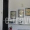 GK Studios_accommodation_in_Hotel_Ionian Islands_Kefalonia_Kefalonia'st Areas