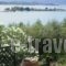 Diaporos View House_holidays_in_Hotel_Macedonia_Halkidiki_Chalkidiki Area