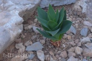 Porto Heli Apartments_travel_packages_in_Crete_Lasithi_Palaekastro