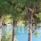 Avia_lowest prices_in_Hotel_Thessaly_Magnesia_Koropi
