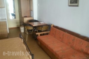 Alykes 4 Seasons_best prices_in_Hotel_Ionian Islands_Zakinthos_Katastari