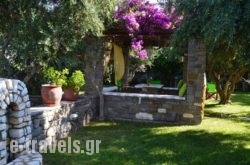 Pension'Sofia_s __1